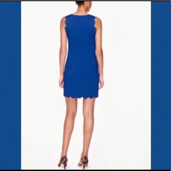 J. Crew Royal Blue Scallop Edge Sheath Dress - Picture 4 of 4